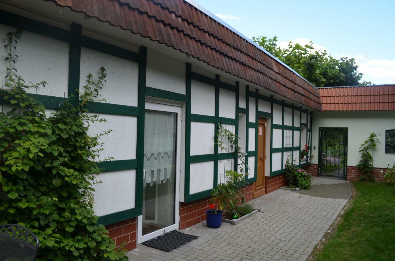Pension Im Gruenen Eberswalde-Finow Exteriör bild